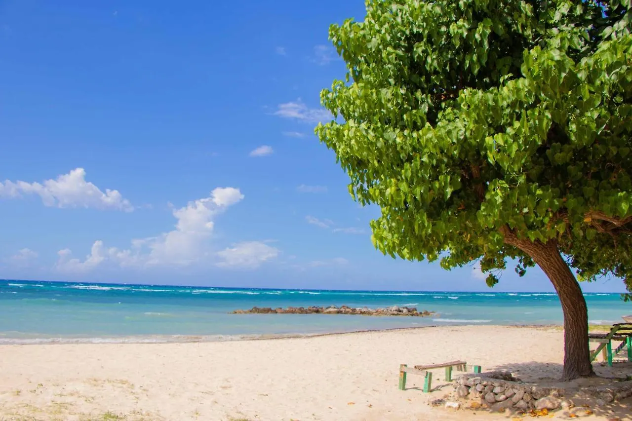 Διαμέρισμα Beach Dreams At Seacastles Μοντέγκο Μπέυ Τζαμάικα